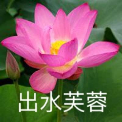 弹跳达人游戏下载